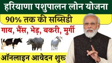 Haryana Pashupalan Loan Yojana