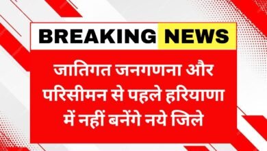 Haryana pauses new districts