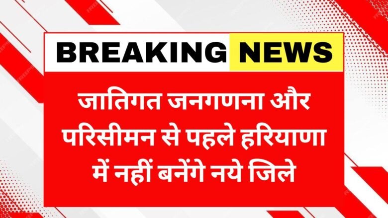 Haryana pauses new districts