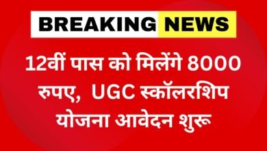 UGC Scholarship