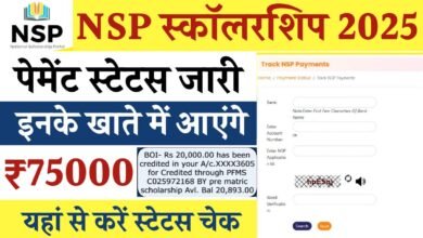 NSP Scholarship Status Check 2025